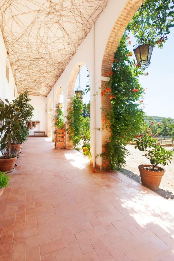 Agriturismo Grazia Orbetello Exterior foto